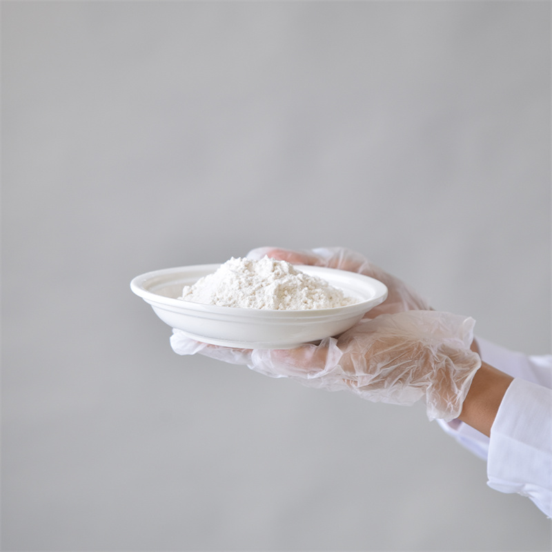 Adenosin 5â-trifosfat disodium garam CAS 987-65-5