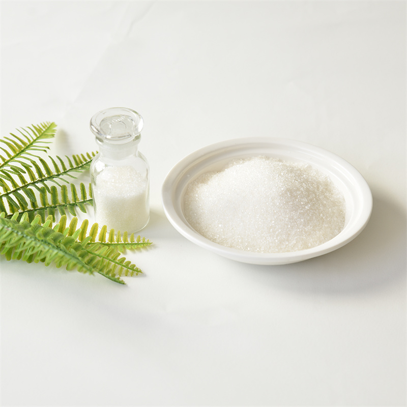 DL-Carnitine hidroklorida CAS 461-05-2